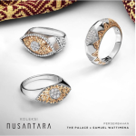 Tips Memilih Cincin Model Terbaru Jenis Eternity yang Bermakna